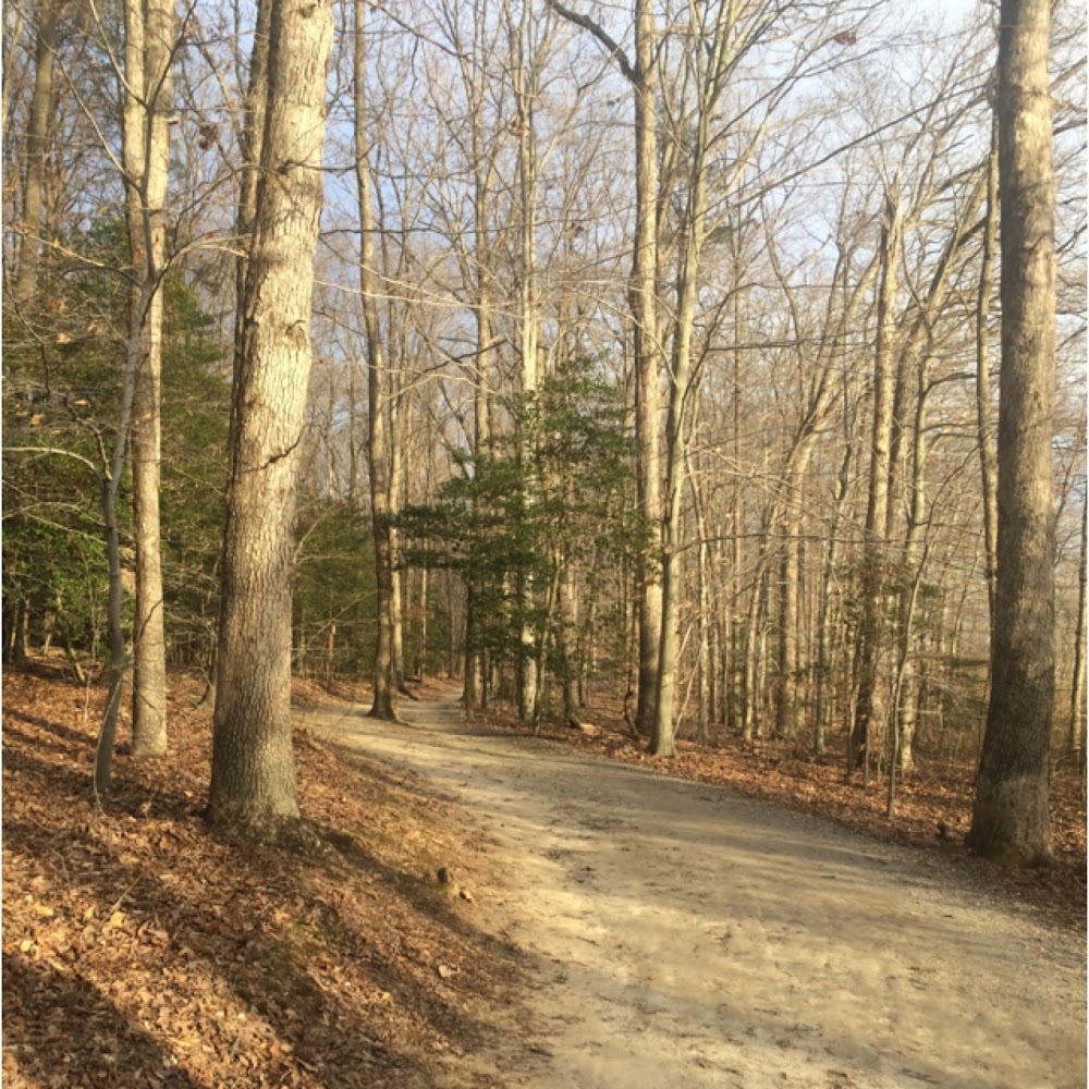 Meet your Posher, Gina